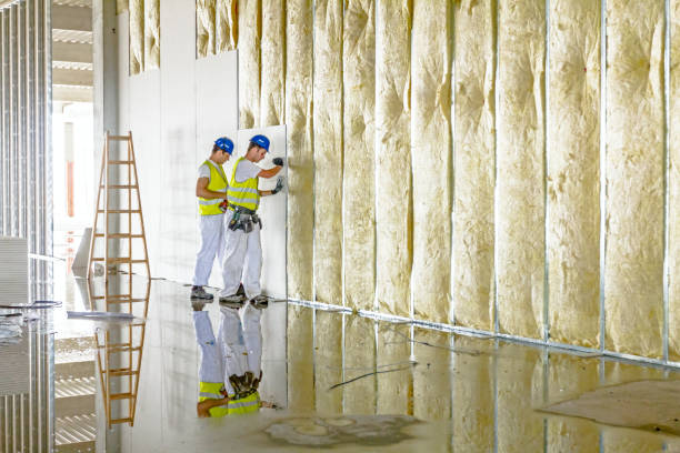 Best Blown-in Insulation  in North Haledon, NJ